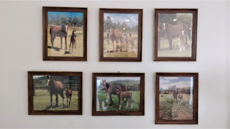 Turning a Wall into a Story